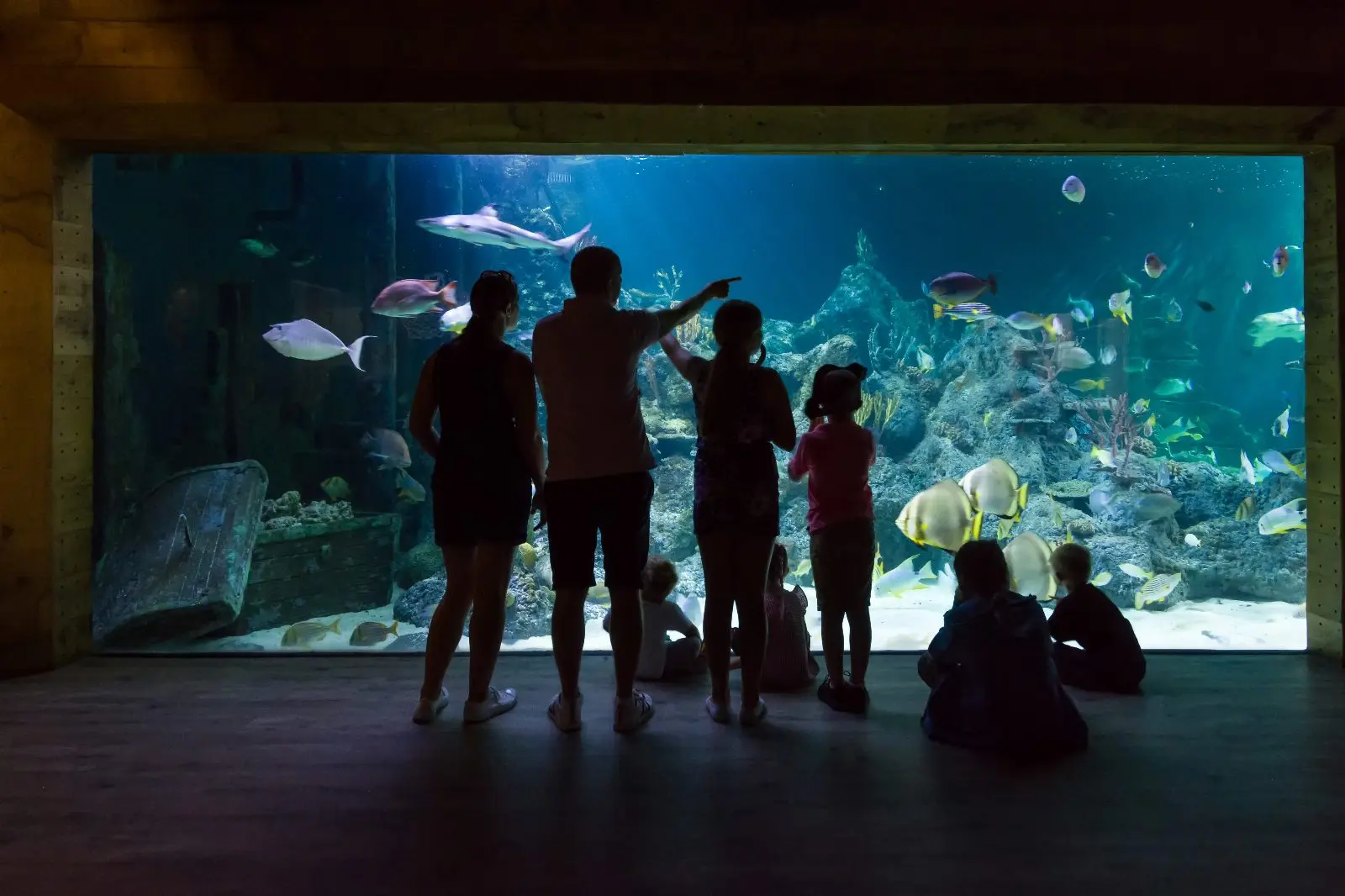 Visitors silhouetted against the Aqua Theatre's main tank
