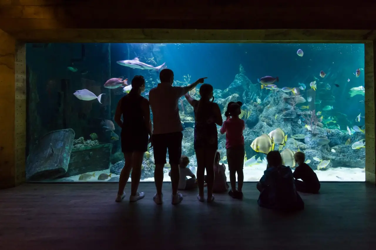 Visitors silhouetted against the Aqua Theatre's main tank