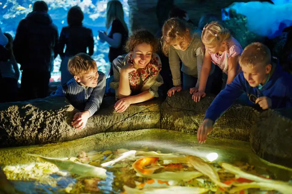 A family leaning over the interactive touch pool