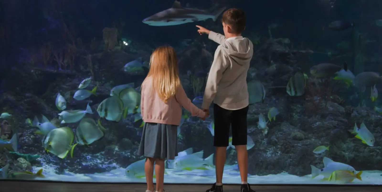 Two children pointing at fish in the main aquarium tank