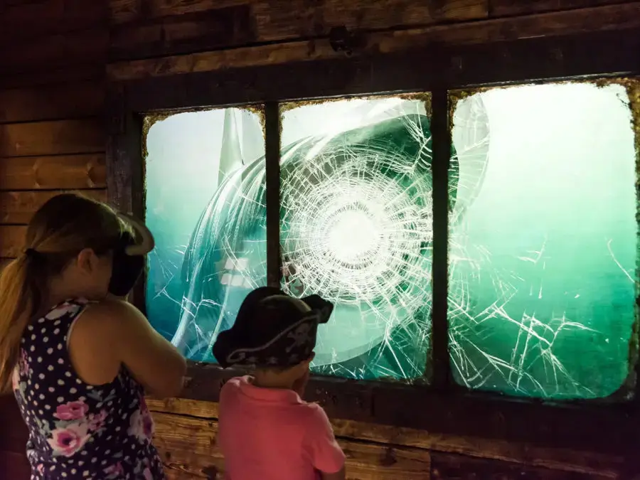 A child at the cracked-glass Shark Attack window