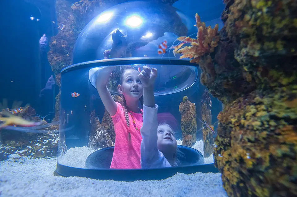 A child inside the viewing bubble in the Sunken Hold