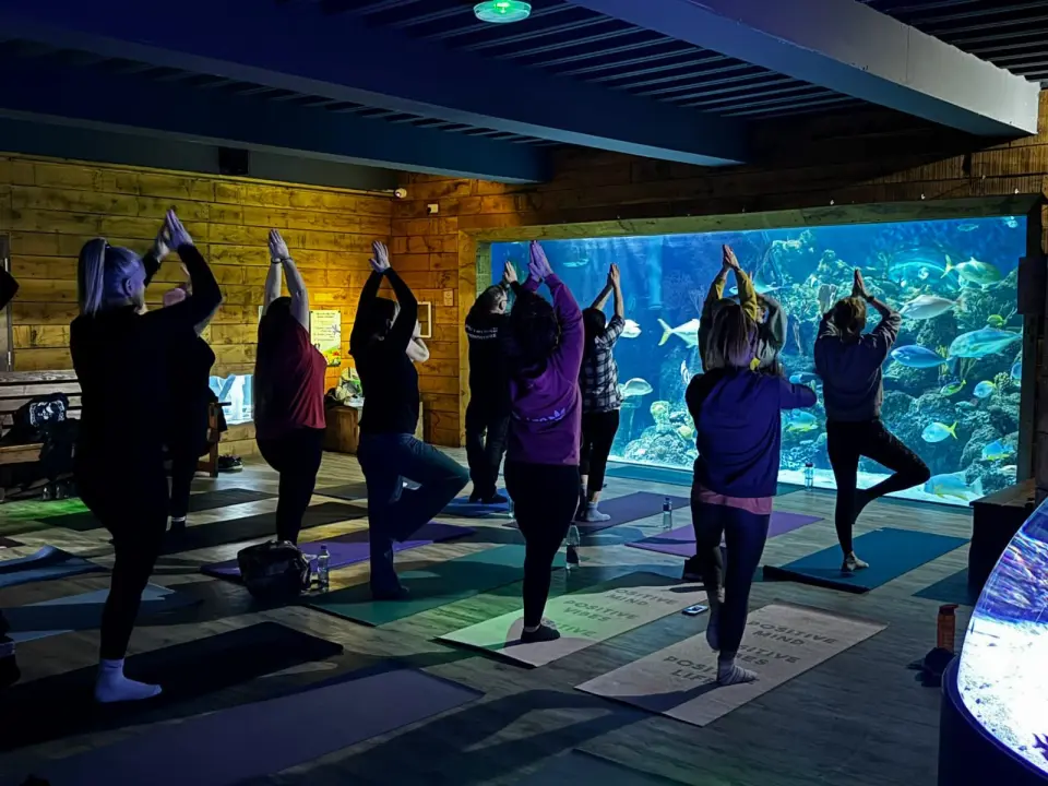 A yoga class holding tree pose in front of the Aqua Theatre window
