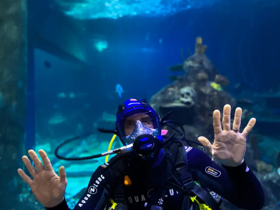 A diver in a full-face mask waving with both hands inside the main tank
