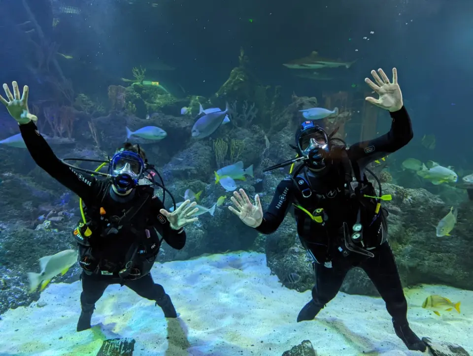 Two divers waving to the camera from the middle of the tank